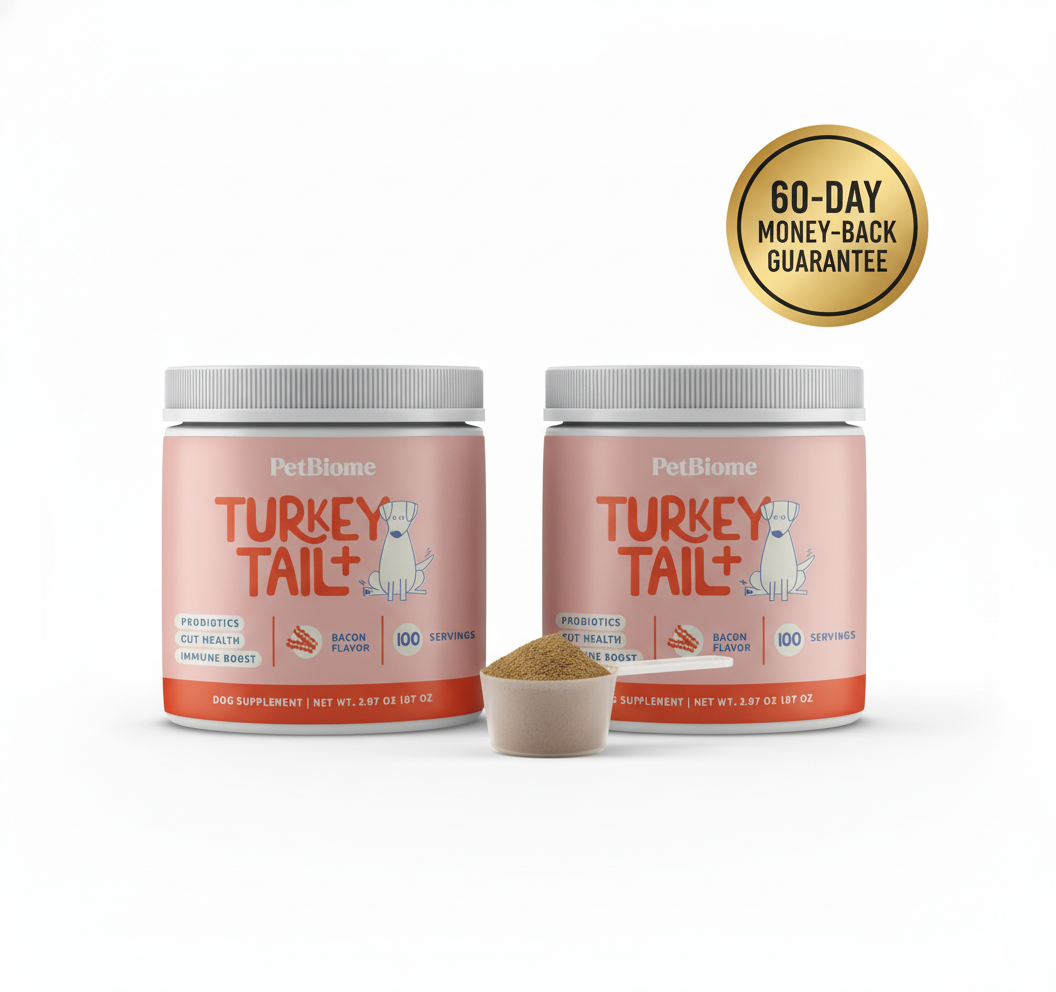 FallBack Text for a file