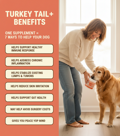 Protect your dog from Fatty Lipomas and Expensive Vet Bills with Pet Biome