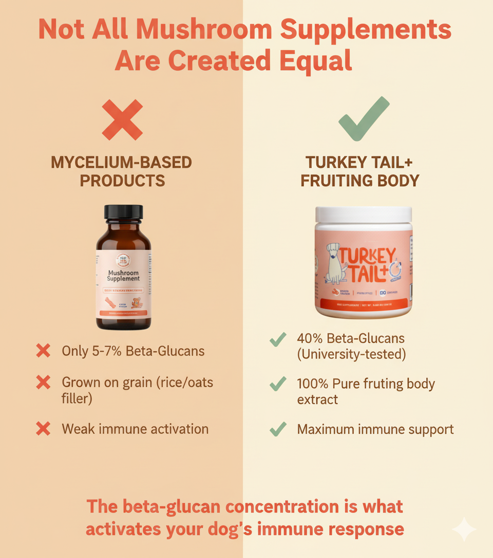 Protect your dog from Fatty Lipomas and Expensive Vet Bills with Pet Biome